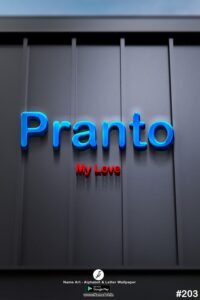 Pranto | Whatsapp Status Pranto | Happy Birthday Pranto !! | New Whatsapp Status Pranto Images |