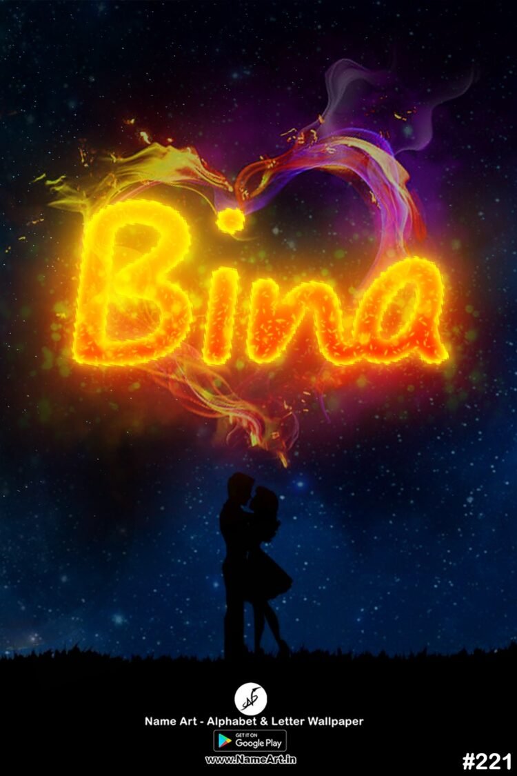 Bina Name Art DP | Best New Whatsapp Status Bina